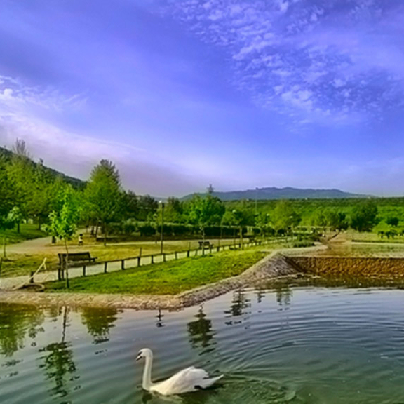 Parco naturalistico Oasi Alento