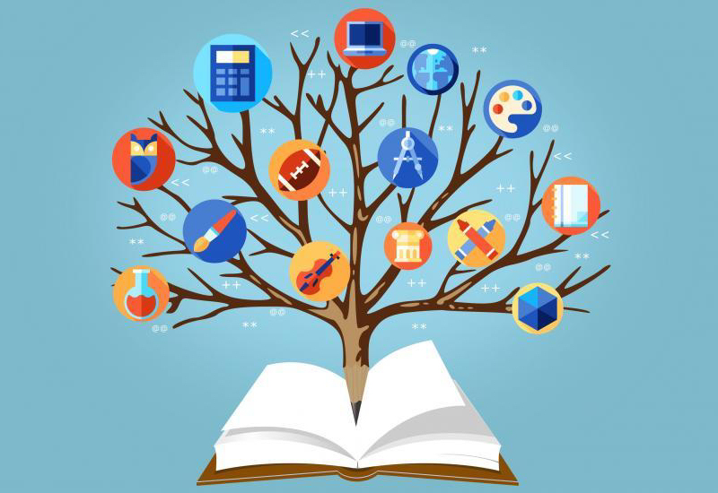 Education Learning Concept Tree Of Knowledge 