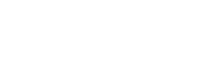 tor vergata logo