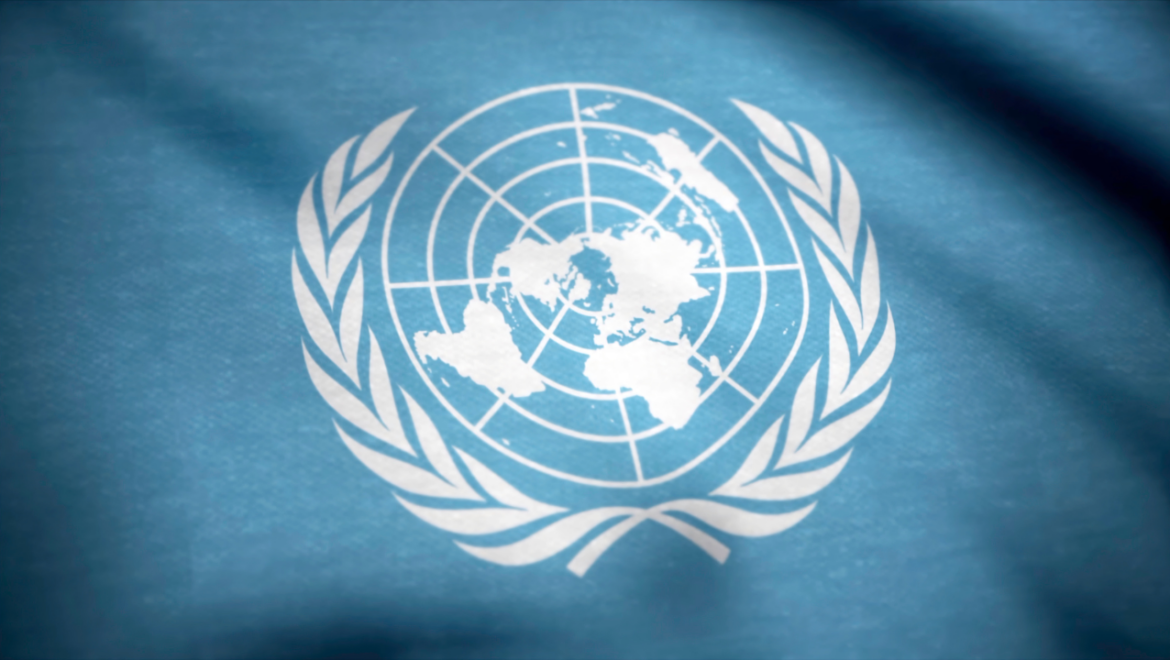 Netgroup nel Global Compact ONU | Impegno alla Sostenibilità