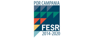 fesr